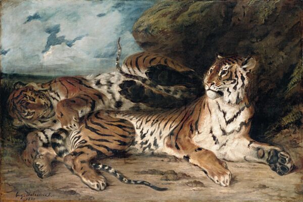 Jovem Tigre Brincando com sua Mãe – Eugène Delacroix Eugène Delacroix Master Apollon