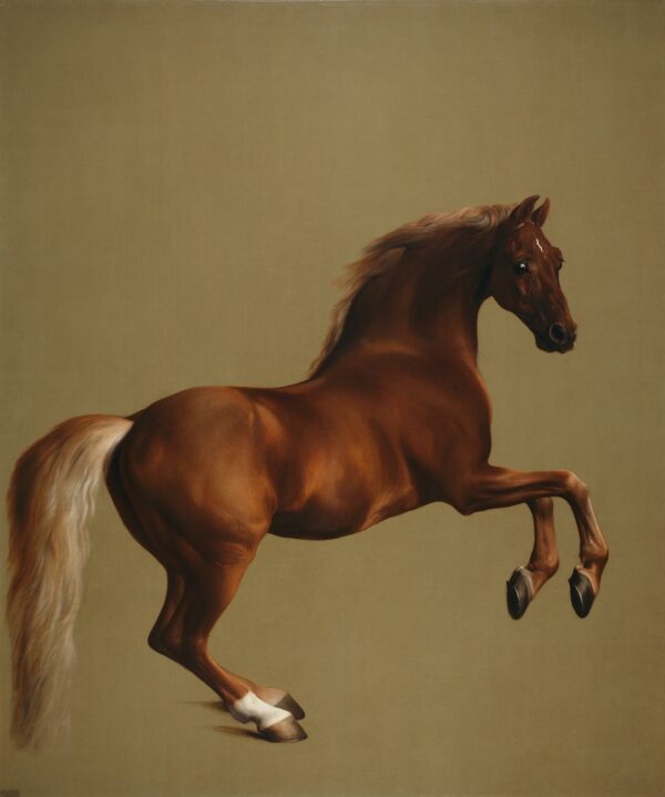 Whistlejacket – George Stubbs George Stubbs Master Apollon