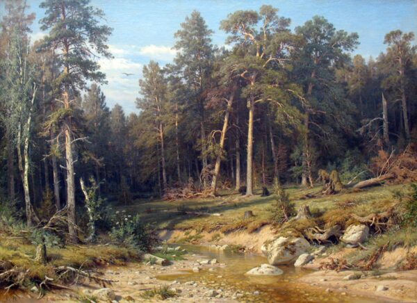 Uma floresta de pinheiros. Floresta de mastros na província de Viatka – Ivan Shishkin Ivan Shishkin Master Apollon