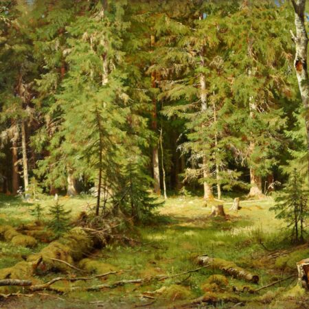 Anagorie de Wald – Ivan Shishkin Ivan Shishkin Master Apollon