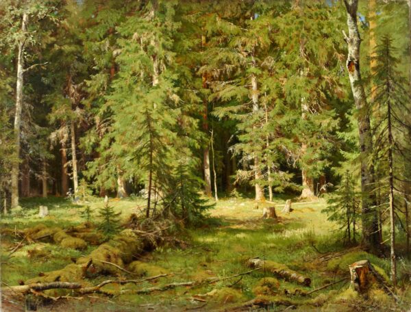 Anagorie de Wald – Ivan Shishkin Ivan Shishkin Master Apollon