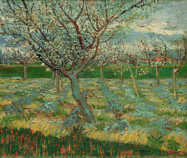 Verger em flores – Van Gogh Vincent Van Gogh Master Apollon