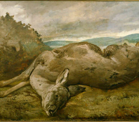 A lebre – Gustave Courbet Gustave Courbet Master Apollon