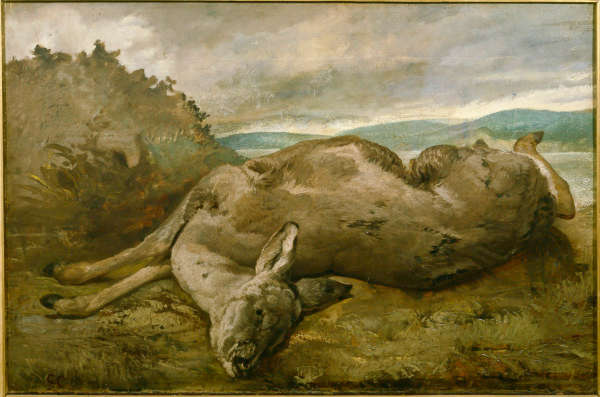 A lebre – Gustave Courbet Gustave Courbet Master Apollon