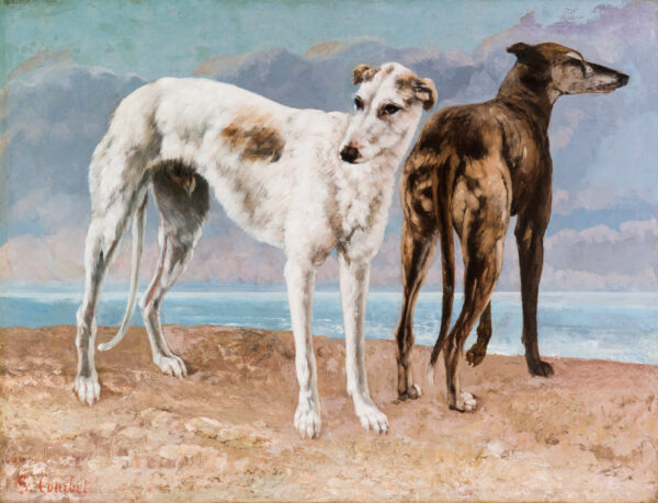 Os galgos do Conde de Choiseul – Gustave Courbet Gustave Courbet Master Apollon