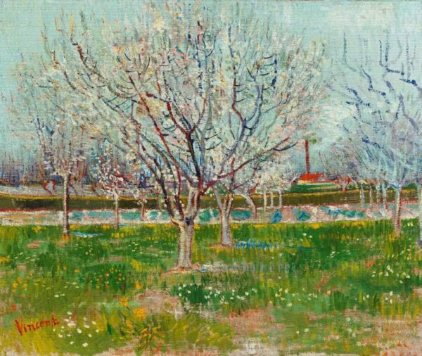 Jardim frutífero florescendo – Van Gogh Vincent Van Gogh Master Apollon