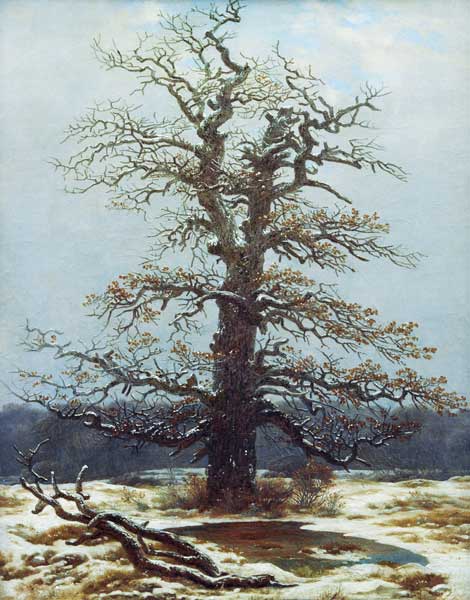 Carvalho na Neve – Caspar David Friedrich Caspar David Friedrich Master Apollon