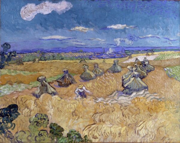 Campo de trigo 1890 – Van Gogh Vincent Van Gogh Master Apollon