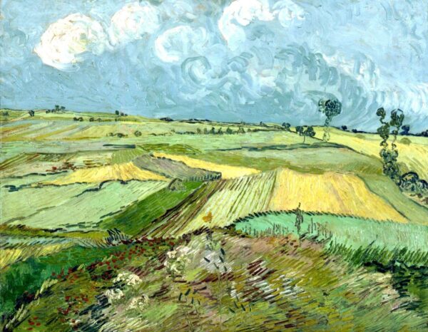 Campos de trigo após a chuva – Van Gogh Vincent Van Gogh Master Apollon