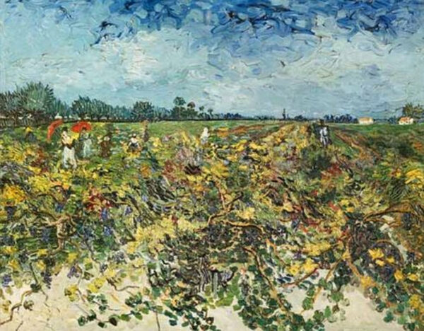 O vinhedo verde – Van Gogh Vincent Van Gogh Master Apollon