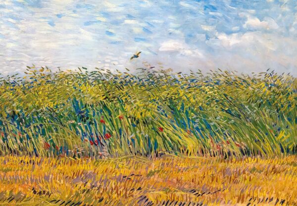 Campo de trigo com cotovias – Van Gogh Vincent Van Gogh Master Apollon