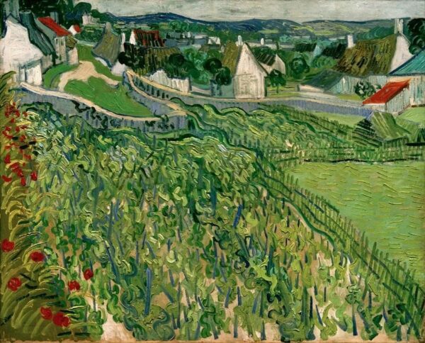 Vinhas de Auvers – Van Gogh Vincent Van Gogh Master Apollon