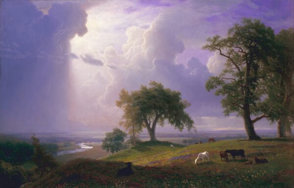 Primavera na Califórnia – Albert Bierstadt Albert Bierstadt Master Apollon