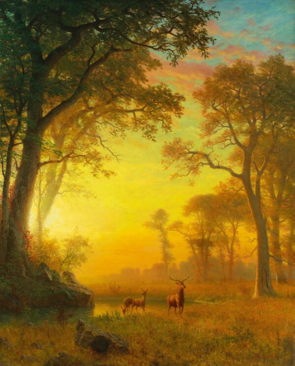 Luz na Floresta – Albert Bierstadt Albert Bierstadt Master Apollon