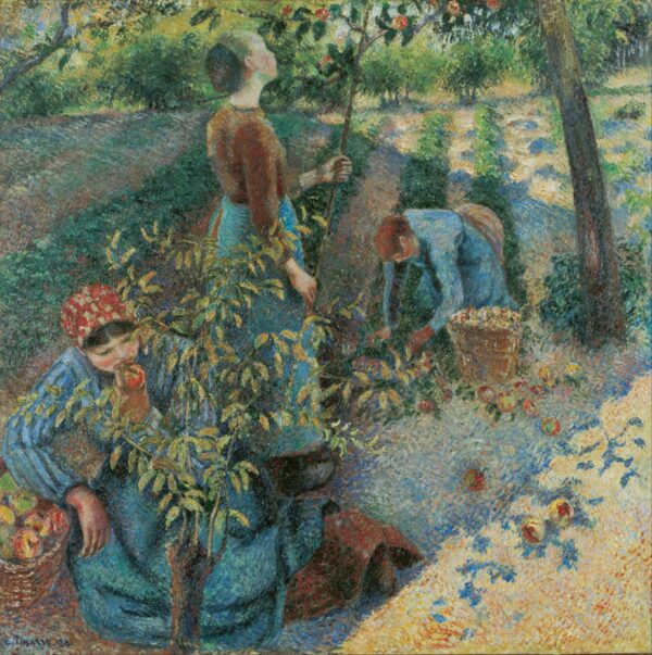 Colheita de Maçãs – Camille Pissarro Camille Pissarro Master Apollon