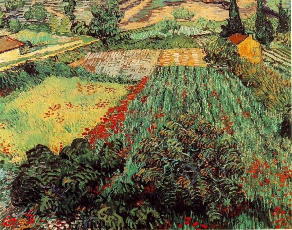 Campos de Papoulas – Van Gogh Vincent Van Gogh Master Apollon