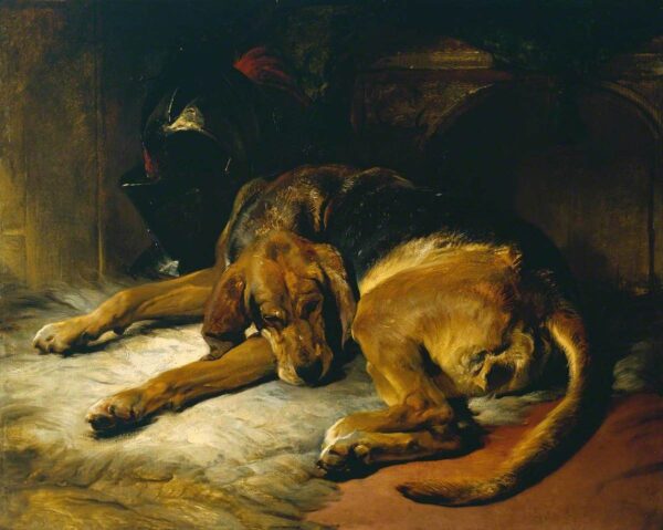 Cão de Sangue Dormindo – Edwin Landseer Edwin Landseer Master Apollon