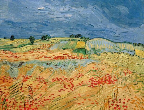 Campos de papoulas em flores – Van Gogh Vincent Van Gogh Master Apollon