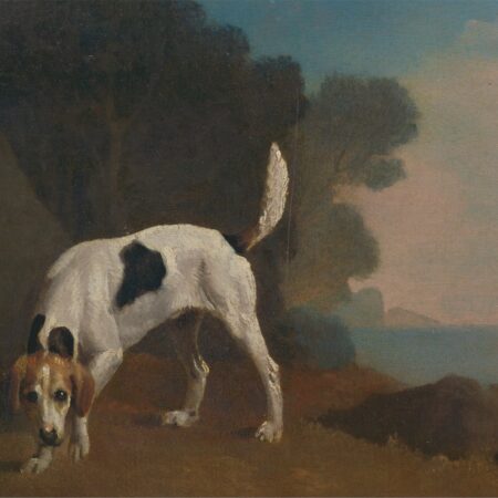 Foxhound – George Stubbs George Stubbs Master Apollon