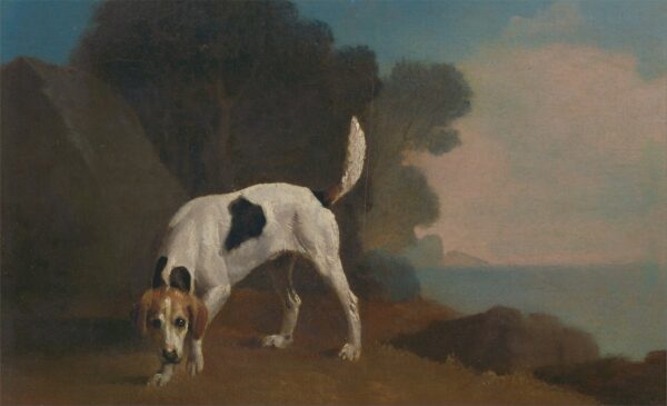 Foxhound – George Stubbs George Stubbs Master Apollon