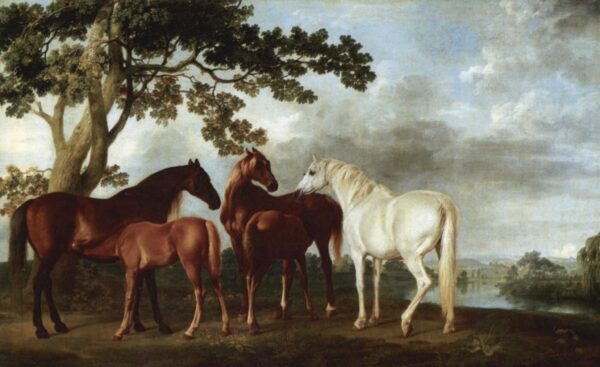 Jumentas e potros – George Stubbs George Stubbs Master Apollon