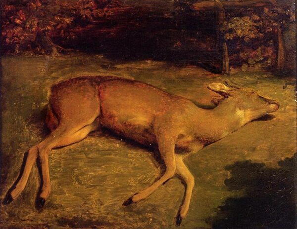 Biche morte – Gustave Courbet Gustave Courbet Master Apollon