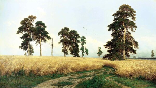 Um campo de centeio – Ivan Shishkin Ivan Shishkin Master Apollon