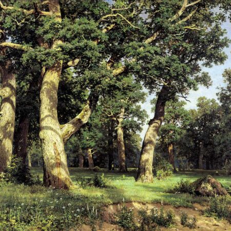 Bosque de Carvalho – Ivan Shishkin Ivan Shishkin Master Apollon