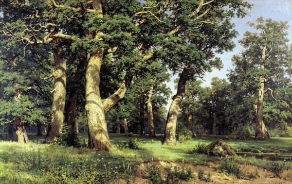 Bosque de Carvalho – Ivan Shishkin Ivan Shishkin Master Apollon