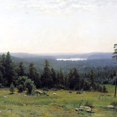 A floresta vista de longe – Ivan Shishkin Ivan Shishkin Master Apollon