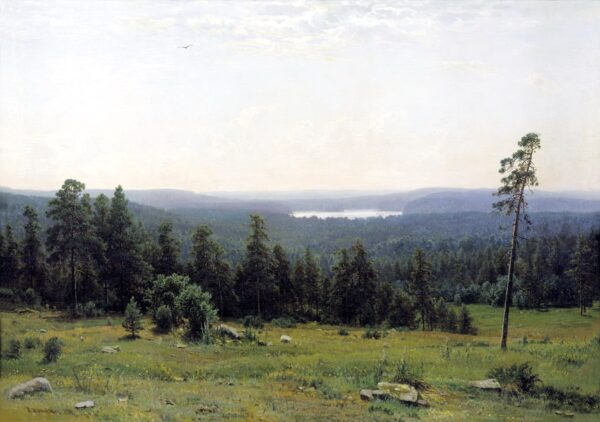 A floresta vista de longe – Ivan Shishkin Ivan Shishkin Master Apollon