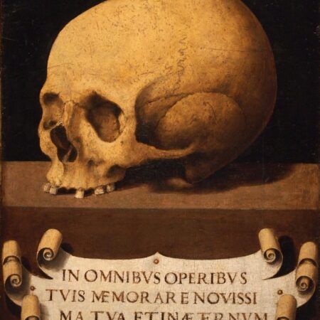 Calavéra (Memento Mori) – Vicente Juan Masip Vicente Juan Masip Master Apollon