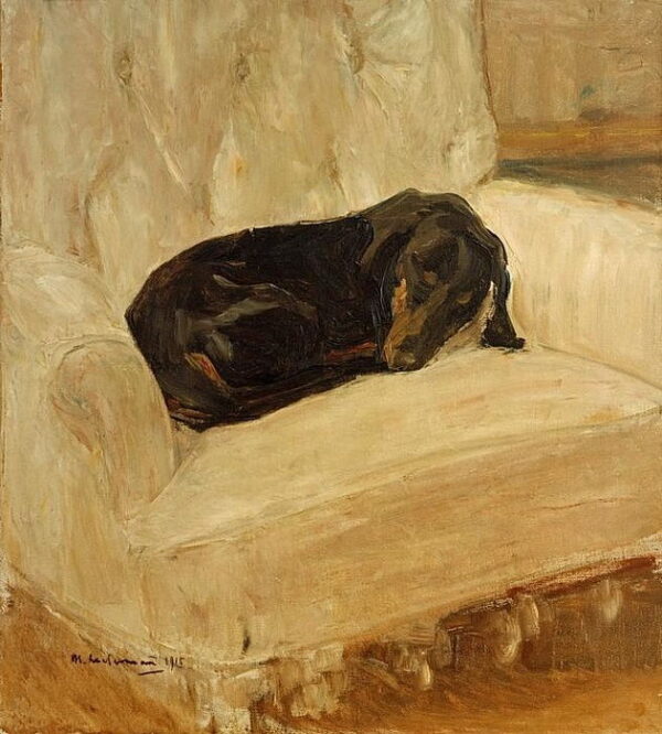 Teckel adormecido em uma poltrona – Max Liebermann Max Liebermann Master Apollon