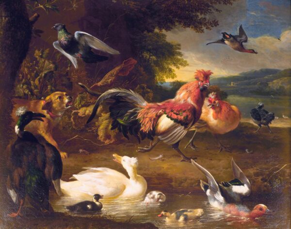 Galinhas e Patos – Melchior d’Hondecoeter Melchior d'Hondecoeter Master Apollon