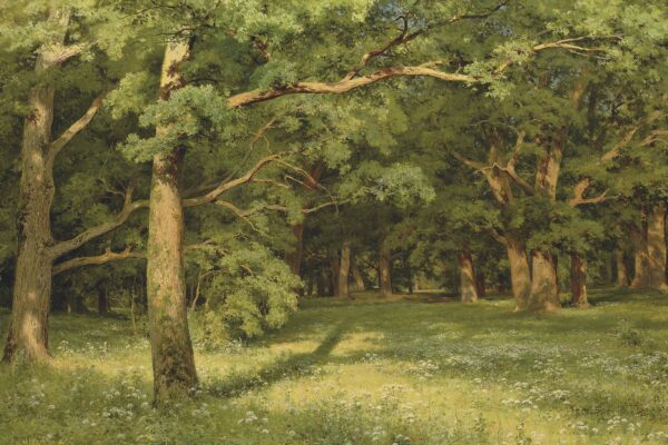 O desmatamento da floresta – Ivan Shishkin Ivan Shishkin Master Apollon