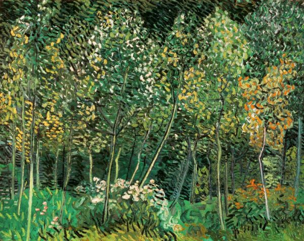 Pequena floresta – Van Gogh Vincent Van Gogh Master Apollon