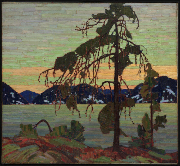 O pinho cinza – Tom Thomson Tom Thomson Master Apollon