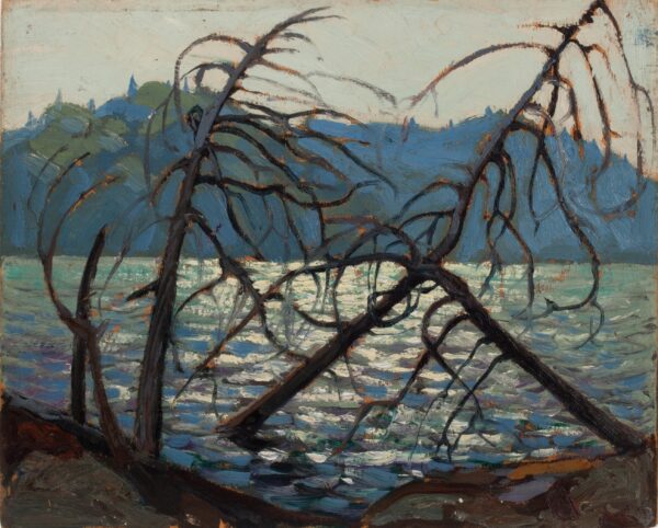 Lago Canoe – Tom Thomson Tom Thomson Master Apollon