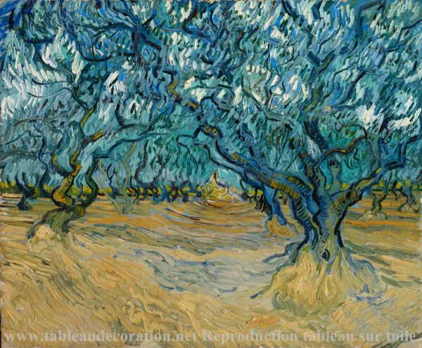 O Campo de Oliveiras – Van Gogh Vincent Van Gogh Master Apollon