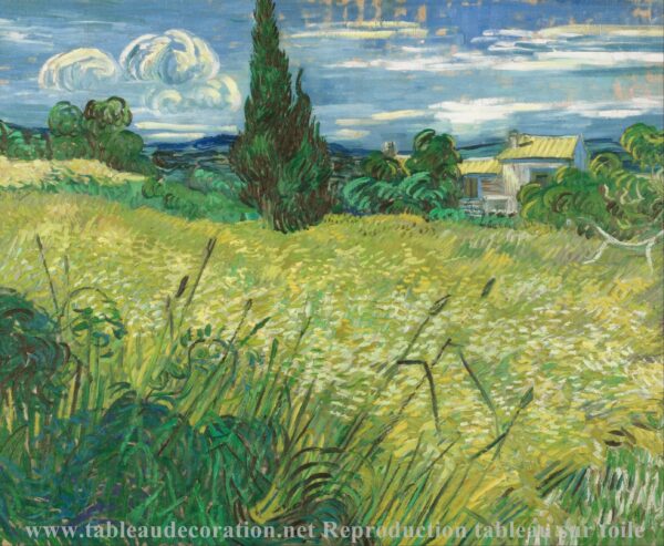 O Campo de Trigo Verde com Ciprestes – Van Gogh Quadros Populares Master Apollon