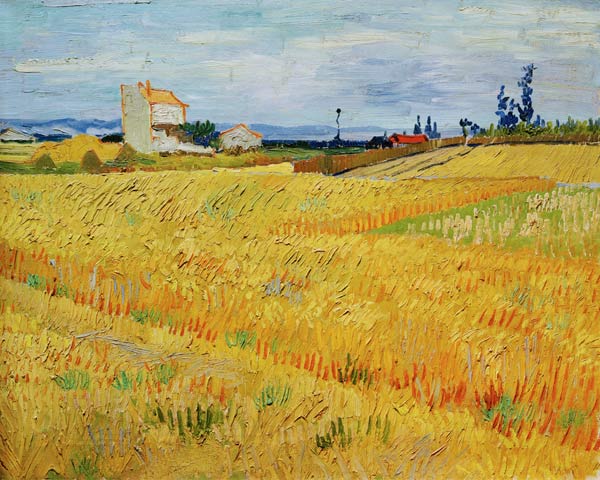 Campo de trigo – Van Gogh Vincent Van Gogh Master Apollon