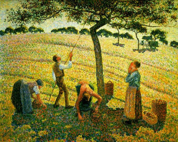 Colheita de Maçãs em Eragny-sur-Epte – Camille Pissarro Camille Pissarro Master Apollon