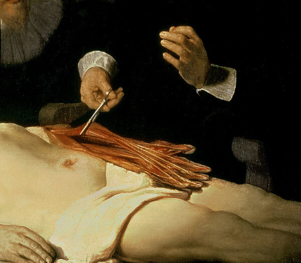 A lição de anatomia do Dr. Nicolaes Tulp, 1632 (detalhe de 7543) de Rembrandt van Rijn Rembrandt van Rijn Master Apollon