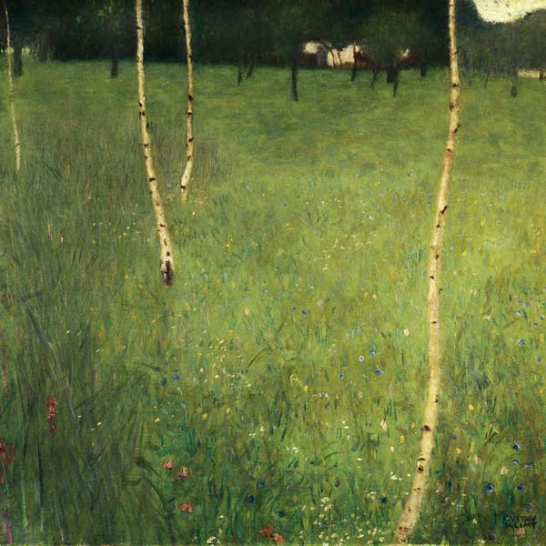 Fazenda com Bétulas – Gustav Klimt Gustav Klimt Master Apollon