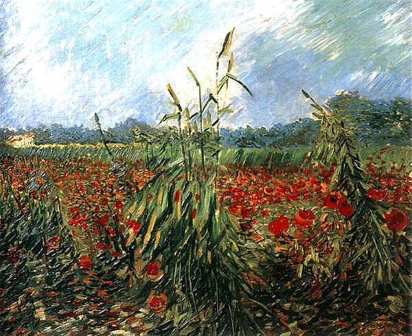 Espigas de trigo – Van Gogh Vincent Van Gogh Master Apollon