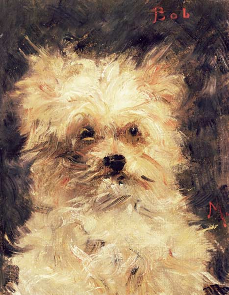 Cabeça de um cachorro “Bob” – Edouard Manet Édouard Manet Master Apollon