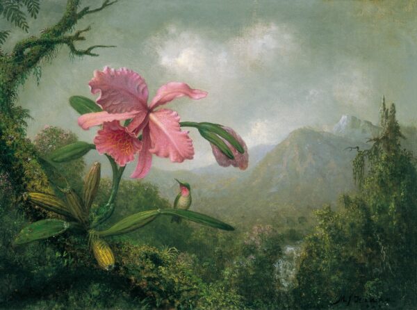 Orquídea e beija-flor perto de uma cascata de montanha – Martin Johnson Heade Martin Johnson Heade Master Apollon