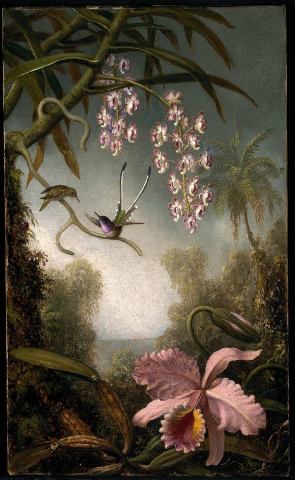 Orquídeas e Orquídeas em Spray com Colibri – Martin Johnson Heade Martin Johnson Heade Master Apollon