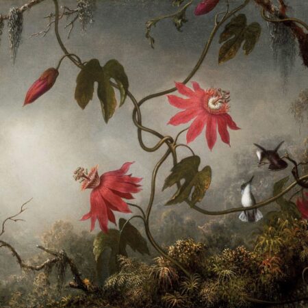 As flores da paixão com os beija-flores – Martin Johnson Heade Martin Johnson Heade Master Apollon