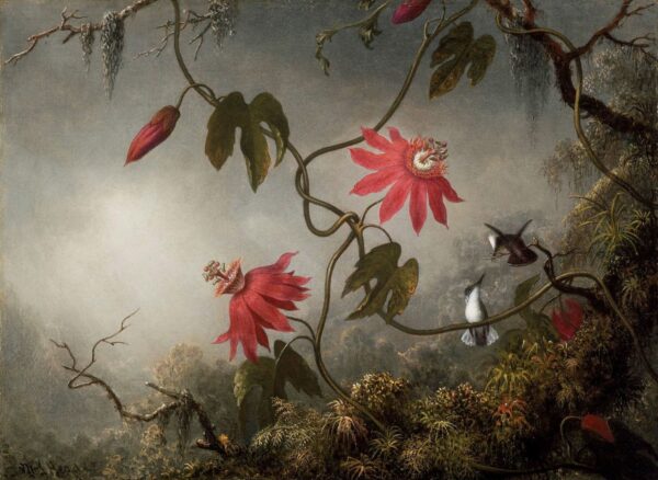 As flores da paixão com os beija-flores – Martin Johnson Heade Martin Johnson Heade Master Apollon